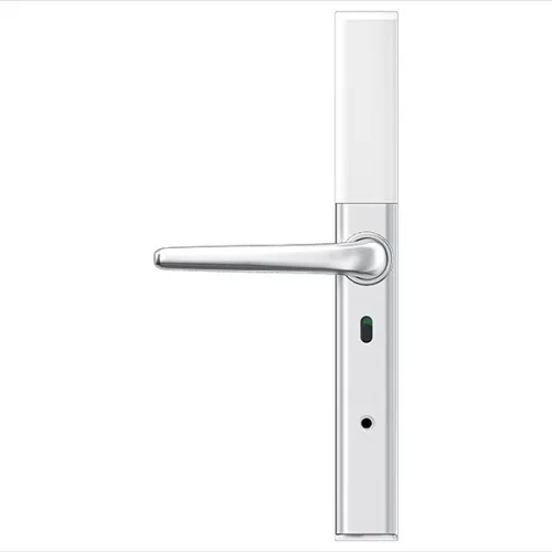 Protini DH1 Okos kilincs ezüst/fehér